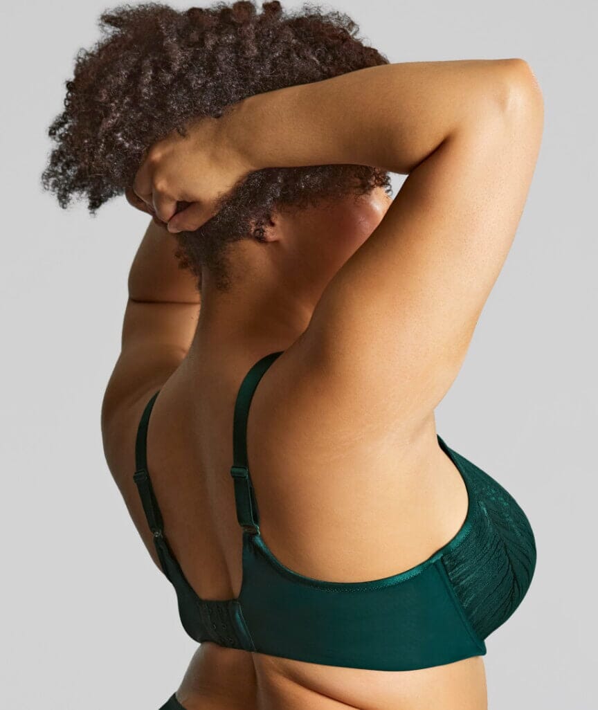 Sculptresse Illuminate Non Padded Full Cup T-Shirt Bra - Dark Green Bras